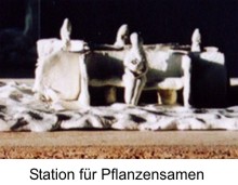 Station für Pflanzensamen - 2002